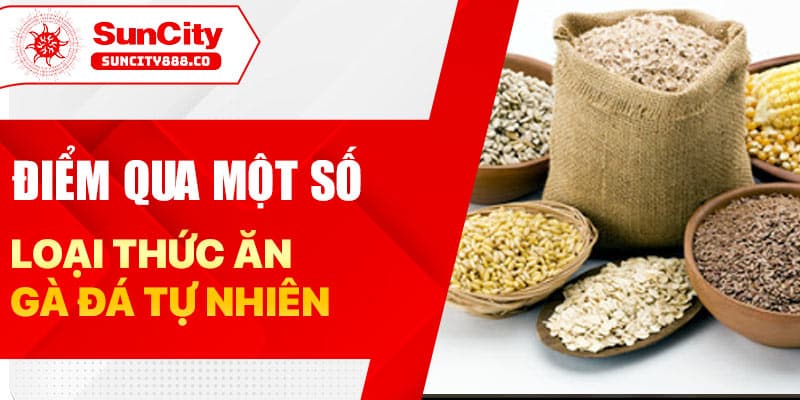 Điểm qua một số loại thức ăn gà đá tự nhiên